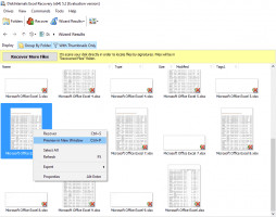 DiskInternals Excel Recovery Step 3. Recoverable Excel files are marked with red cross in the Excel Recovery software