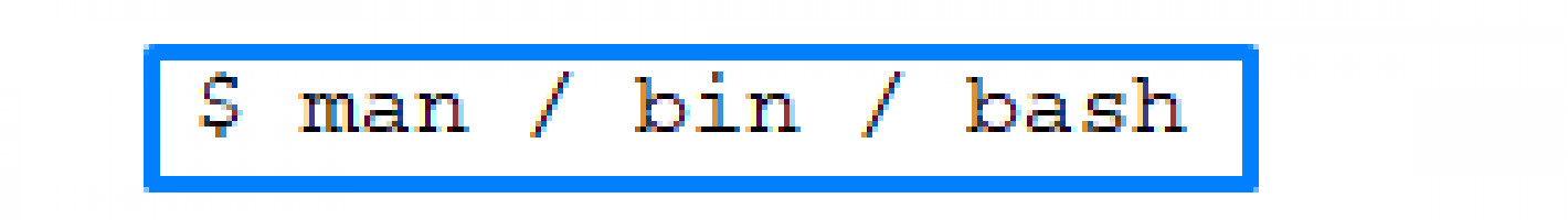 A Linux bin/bash Shell| DiskInternals