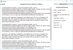 DiskInternals Office Recovery Office Recovery - preview recoverable files.