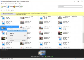 DiskInternals Partition Recovery Partition Recovery - recoverable files marked with a red cross.