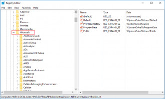 DiskInternals Partition Recovery Enter the Microsoft folder in registry editor