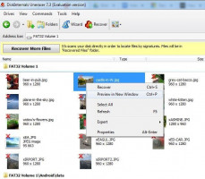 DiskInternals Uneraser™ DiskInternals Uneraser - how to preview deleted photo.