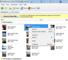 DiskInternals Uneraser - how to preview deleted photo.