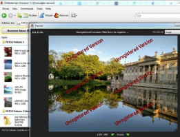 DiskInternals Uneraser - preview deleted photos content.