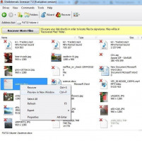 DiskInternals Uneraser™ Preview text content - file recovery on SD card.