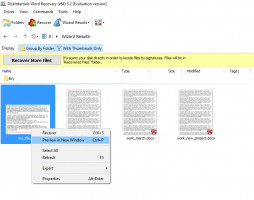 DiskInternals Word Recovery DiskInternals Word Recovery - how you can preview the recoverable text